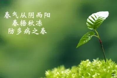 健康养生：春捂的养生之道