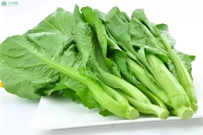 春季吃芥菜,营养又养生